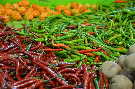 Fall harvest vegetables at Darnell Farms. | Vegetables, Green beans ...