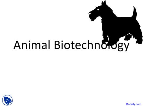 Animal Biotechnology - Animal Science - Lecture Slides - Docsity