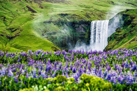 How to Respect Nature in Iceland | Reykjavik Rent a Car