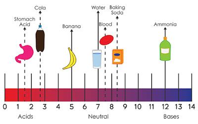 Suka Chemistry: SPM Form 4: Acids and Bases (Checklist)