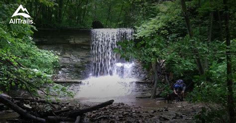 Best Trails in Salamonie River State Forest - Indiana | AllTrails