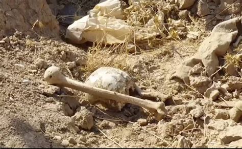 Mass grave uncovered in former ISIS territory of northern Iraq