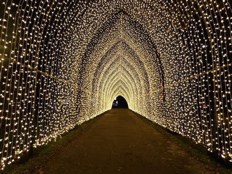 Dazzling Light Festivals To See In And Around London For Christmas 2020 ...