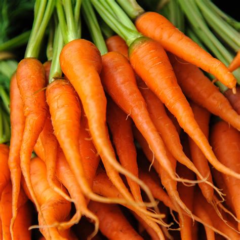 Benefits of Carrots For Skin & Hair | California Pure Naturals