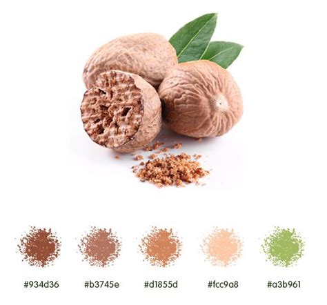 Nutmeg color palette