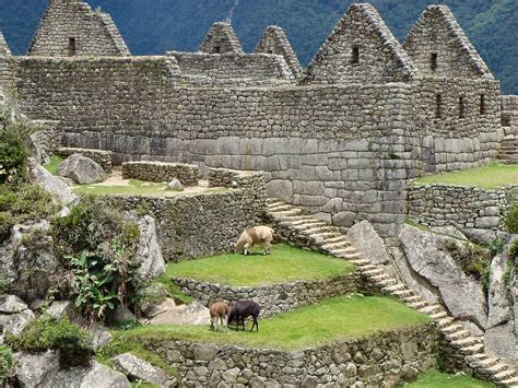 Free photo Machu Picchu Inca Incas Old Town Ruins Peru - Max Pixel