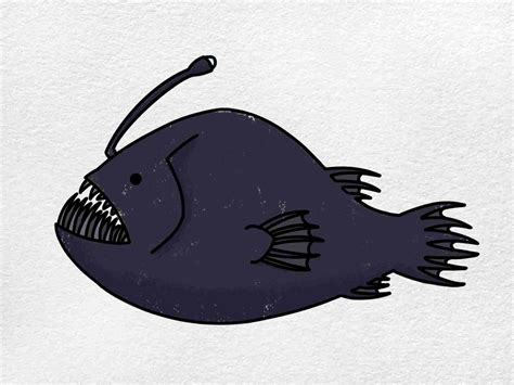 Angler Fish Drawing - HelloArtsy