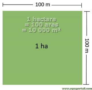 Hectare : définition et explications