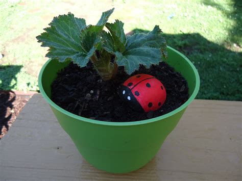 Ladybug Garden Decoration | Tropical Mom's Day Off