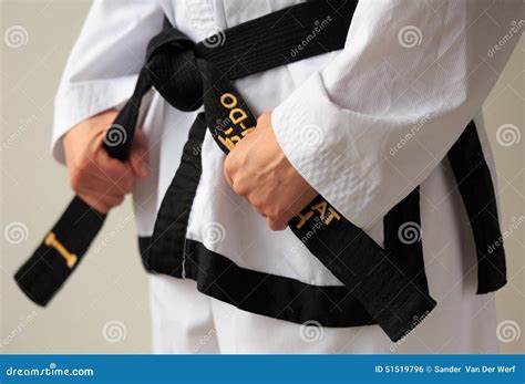 Taekwon-do black belt stock photo. Image of matial, school - 51519796