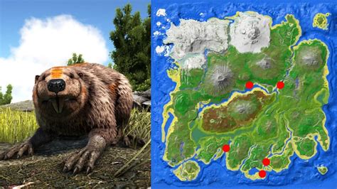 Best Beaver Dam Locations in Ark: Survival Ascended | The Nerd Stash