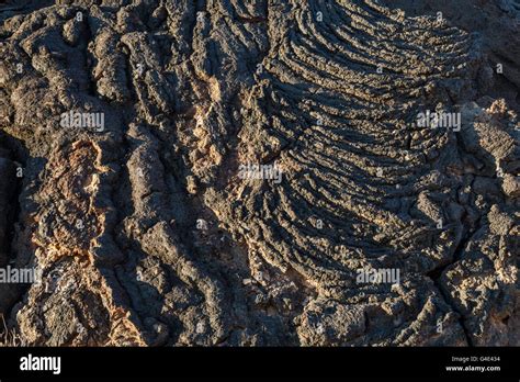 Pahoehoe lava field, Carrizozo Malpais lava flow at Valley of Fires Recreation Area, Tularosa ...