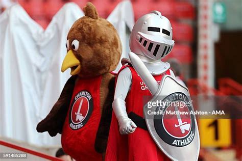 Charlton Athletic Mascot Photos and Premium High Res Pictures - Getty Images