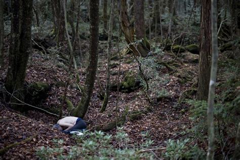 This Is The Dark Side Of Aokigahara Forest AKA The Suicide Hotspot Of ...