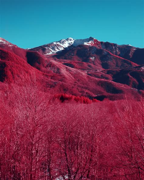 Appennino Tosco Emiliano (Italy) - Kolari's vision 550nm filter : r ...