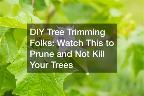 DIY Tree Trimming Folks Watch This to Prune and Not Kill Your Trees ...