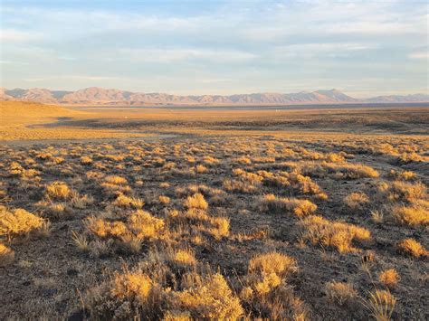 High Desert Dry Camping - Hipcamp in Crescent Valley, Nevada