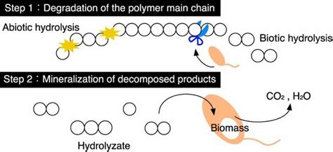 Biodegradation process of biodegradable plastics. Reproduced from [26],... | Download Scientific ...