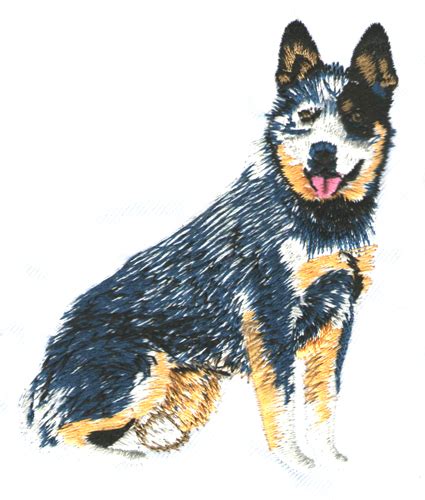 heeler clipart 10 free Cliparts | Download images on Clipground 2024