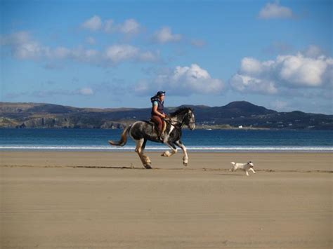 Dunfanaghy Stables - 2018 All You Need to Know Before You Go (with Photos) - TripAdvisor