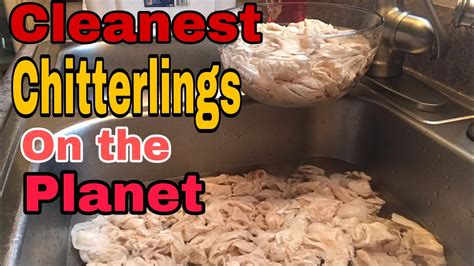 The CLEANEST CHITTERLINGS on the planet - YouTube