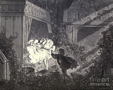 Sleeping Beauty fairy tale By Dore w4 Drawing by Historic illustrations ...