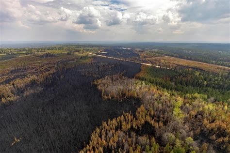 Canada Wildfires Are Still Burning—Why and When Will it End?