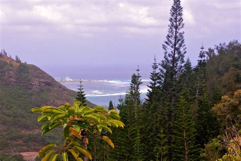 Hauula Loop Trail is a 2.5 mile loop trail located near Hauula, Hawaii that features a waterfall ...