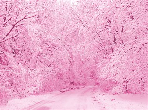 Pink Winter Wonder Land by holliquinn on DeviantArt