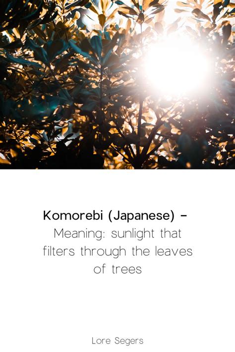 Komorebi (Japanese) - ⁠ Meaning: sunlight that filters through the ...