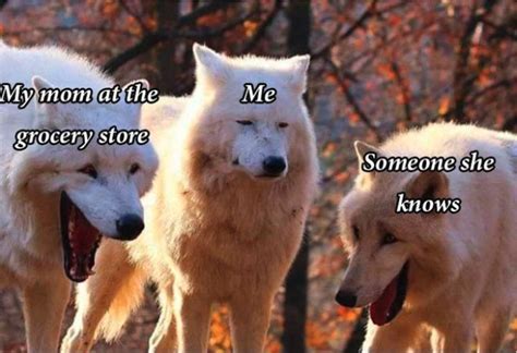 These White Wolves Laughing Memes Are Taking Over (20 Pics)