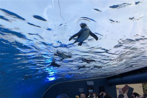 Sunshine Aquarium - Tokyo Attractions - Japan Travel