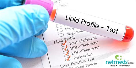 What Is Lipid Profile Test In Urdu Translation - Infoupdate.org