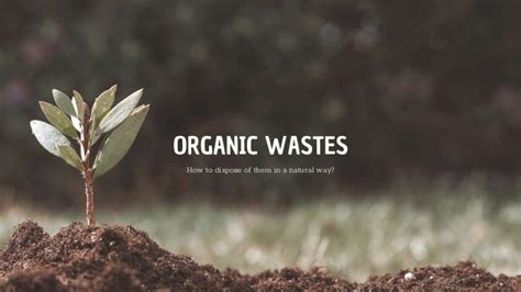 Organic waste management