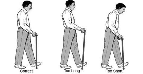 How to Use a Cane for the Best Safety and Support – DailyCaring ...