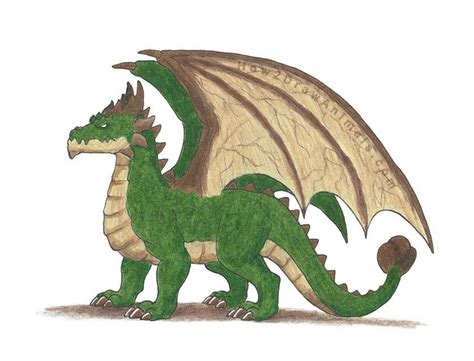 How to Draw an Earth Dragon | Drawings, Animal drawings, Dragon drawing