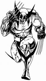 Wolverine Logan Free coloring Pages To print  Colorpagesorg sketch template