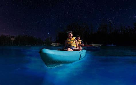 See Bioluminescence in Florida on a Kayak Tour