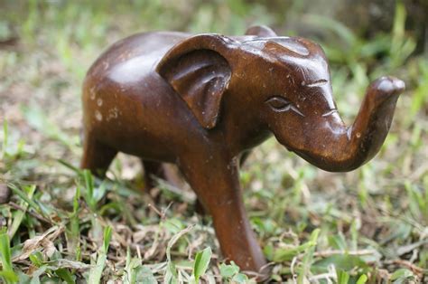 Free picture: art, elephant, handmade, sculpture, wooden, nature, food, animal