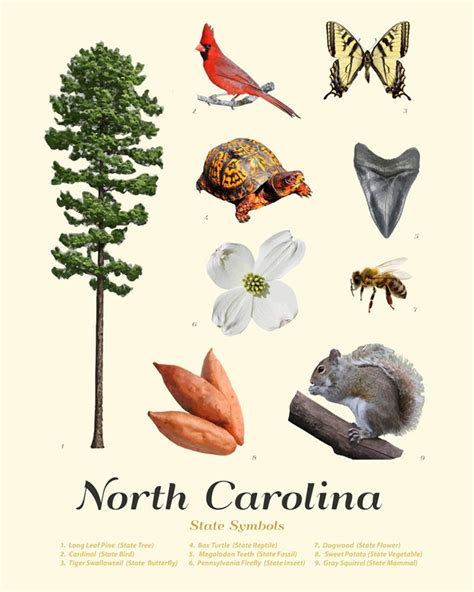 North Carolina State Symbols Typology North Carolina Art - Etsy