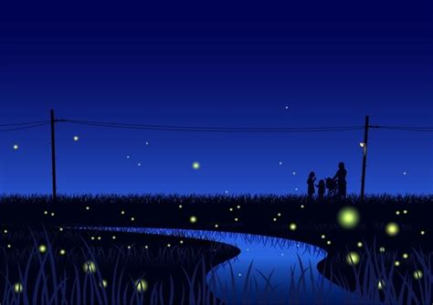 Wherever I can find fireflies | Catching fireflies, Nostalgic images ...