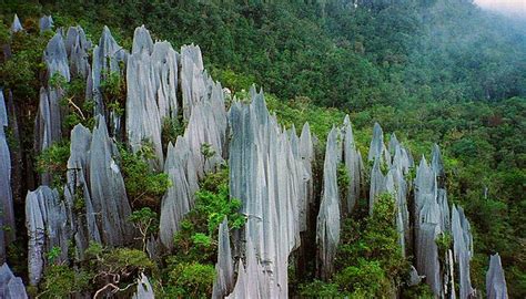 Gunung Mulu National Park - All You Need To Know | Malaysia Travel Blog