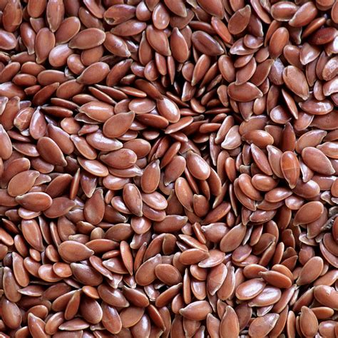 Organic Flax Seed Alsi Seeds Ground Flax Seed Brown Flax - Etsy