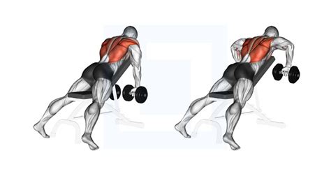 Dumbbell Incline Row - Guide, Benefits, and Form