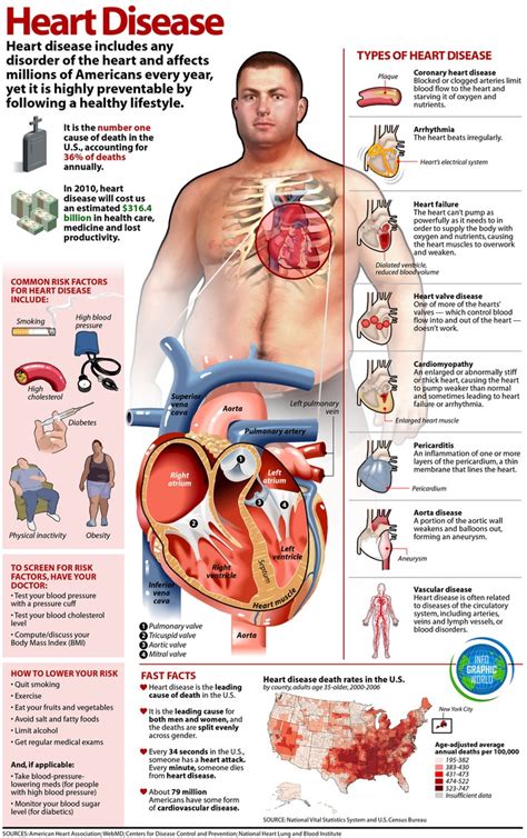 10 Heart Facts You Cant Ignore | Cardiac nursing, Heart health, Heart disease