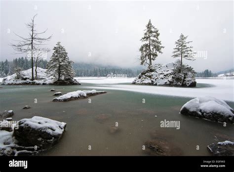 Winter at Hintersee, Berchtesgaden National Park, Berchtesgaden District, Upper Bavaria, Bavaria ...