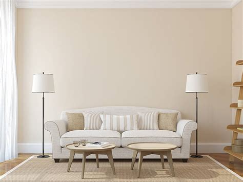 What Color Goes With Beige Carpet | Homeminimalisite.com