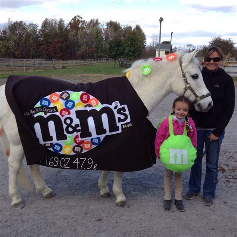 Pony and rider costume we made for last years Halloween show...what to be this year?!? | Horse ...