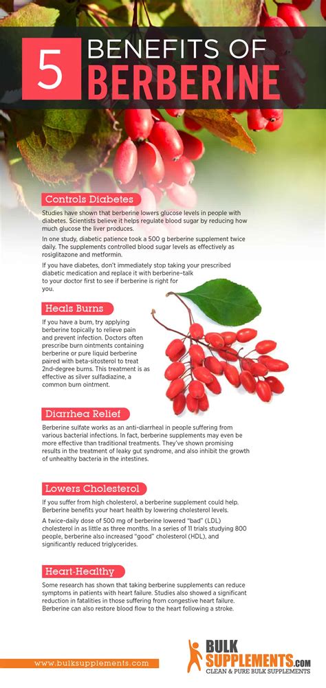 Berberine Supplement: Know the Benefits, Side Effects and Dosage