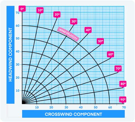 Mastering Crosswind Landings (A Step-by-Step Guide) - Pilot Institute